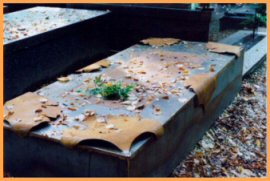 grafmonument, ontworpen samen met opdrachtgevers. Voor elk gezinslid een gingkgo-blad